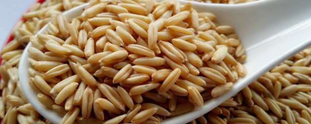 燕麥米的副作用 燕麥米吃多瞭的副作用