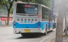 南京206路公交車路線