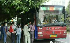 珠海202路公交車路線