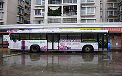 六安253路公交
