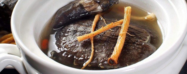 烏龜的做法及食用方法 土茯苓煲龜湯