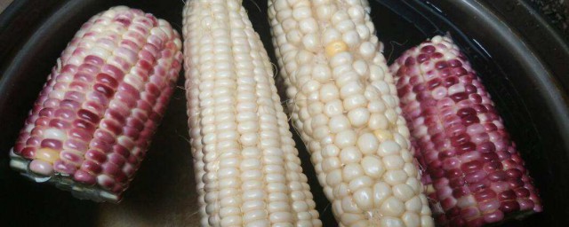 怎樣識別轉基因玉米 有哪些方法呢