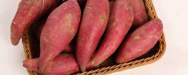 紅薯冬天保存方法 紅薯冬天怎麼保存