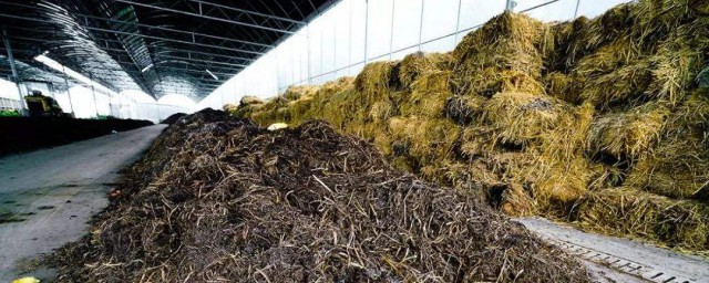 草木灰怎麼施肥 如何施用