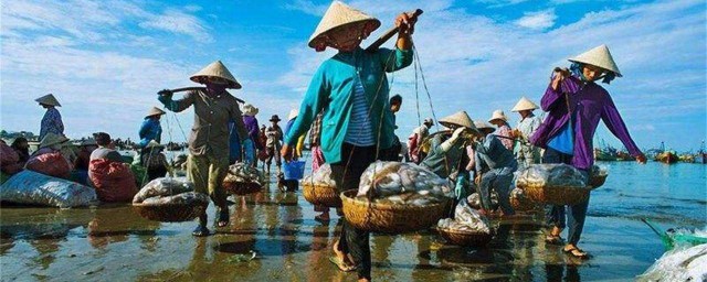 越南的祖先是中國人嗎 快來學習歷史知識