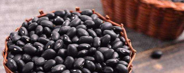 吃黑豆能黑發嗎 黑豆是補腎佳品