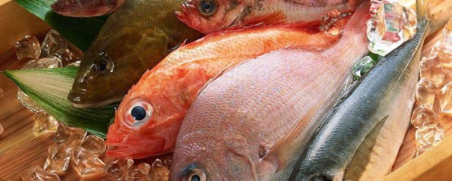 類風濕能吃魚嗎 下面為大傢揭曉