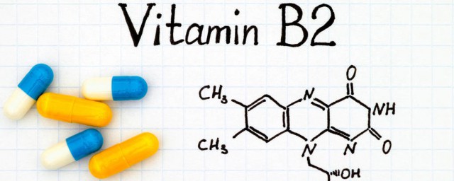 vb2的功效與作用用量 維生素b2的功效是什麼