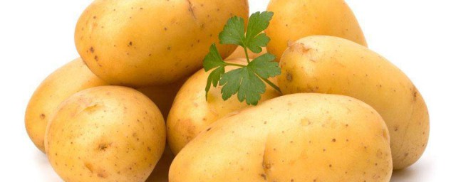 秋土豆什麼時間種植 具體給大傢分析一下