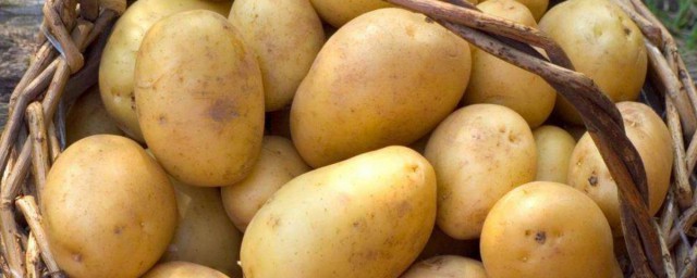 種土豆怎麼種才高產 畝產萬斤有可能
