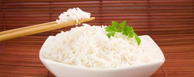 不吃米飯面食能減肥嗎 這次終於有答案瞭