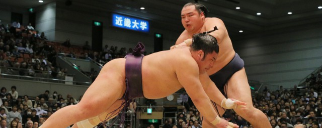 日本相撲手壽命 日本相撲選手為什麼都短命