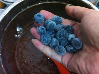 藍莓巧克力蛋糕