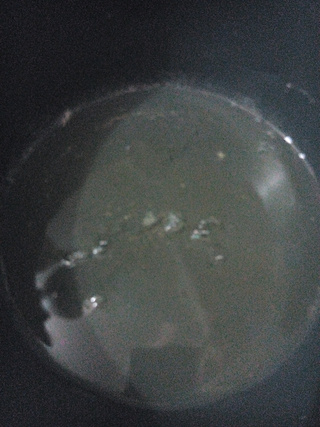 巧克力奶戚風