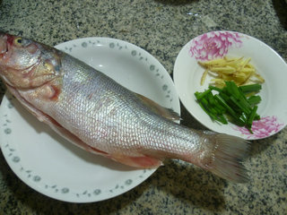 清蒸鱸魚