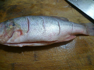 清蒸鱸魚