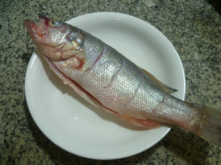 清蒸鱸魚