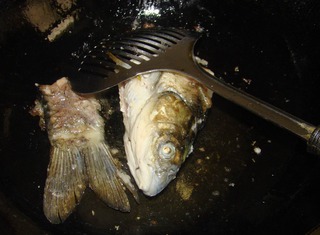 魚頭豆腐湯