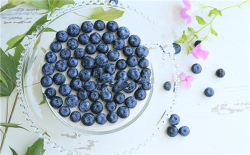 藍莓慕斯