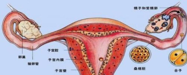 子宮病變有什麼癥狀 會出現疼痛嗎