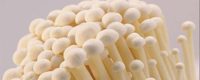 金針菇功效與作用禁忌 金針菇有什麼作用與食用禁忌