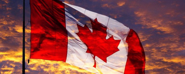 什麼人適合移民加拿大 最適合移民加拿大的人群有哪些