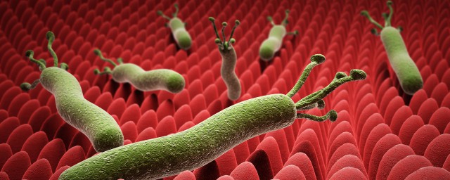 幽門螺桿菌傳染嗎 幽門螺桿菌是傳染性疾病嗎
