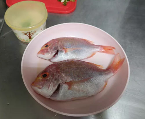 錫紙烤鯛魚