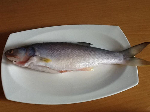 一整條香煎鮁魚