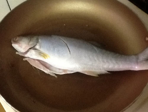 一整條香煎鮁魚