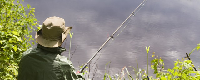深秋羅非魚釣法 秋季釣羅非魚的技巧全解析