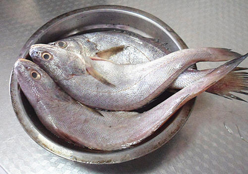 幹燒敏魚