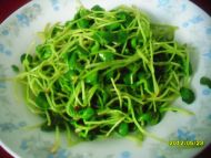 清炒綠豆苗