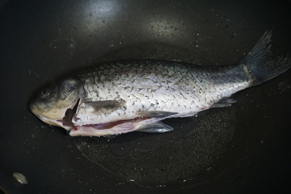 鯽魚蘿卜湯