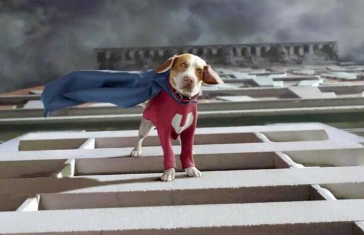 狗狗有超能力是什麼電影