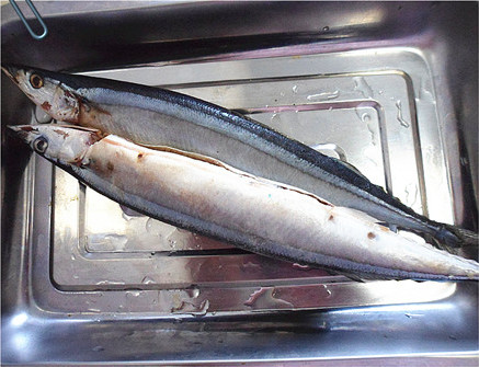 金蒜烤秋刀魚