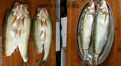 幹鍋刁子魚