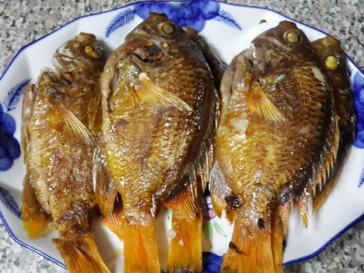 幹煎黃厚殼魚