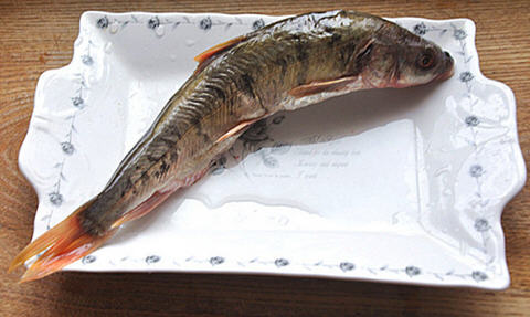 紅燒湟魚