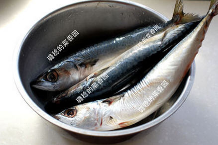 鮁魚水餃韭菜味