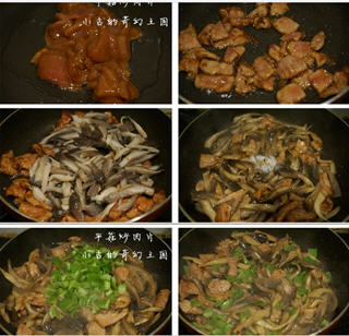 平菇炒肉片