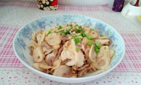 雞腿菇炒肉絲