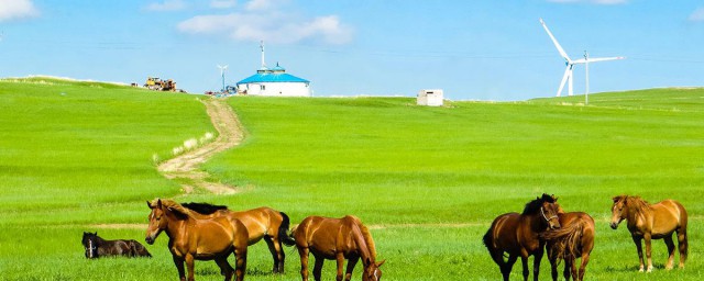 蒙古國人均工資 關於蒙古的簡介