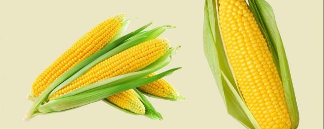 玉米能制麥芽糖嗎 和其他糖漿有什麼區別