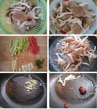 幹鍋平菇