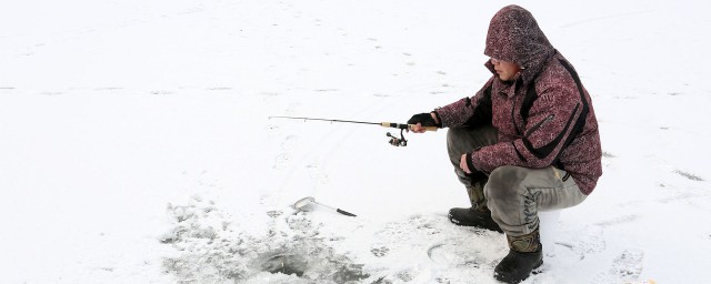 11月釣鯽魚配方 冬季釣鯽魚餌料怎麼選