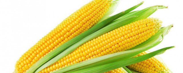 玉米種法 每畝可以種多少