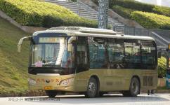 惠州236路公交