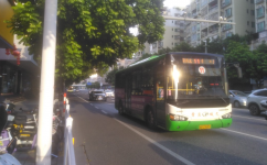 肇慶11路公交車路線