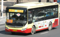 肇慶202路公交